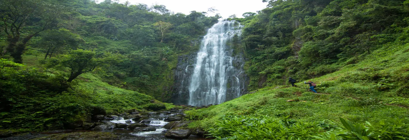 5-Day Coffee Farm, Culture and Wildlife Journey