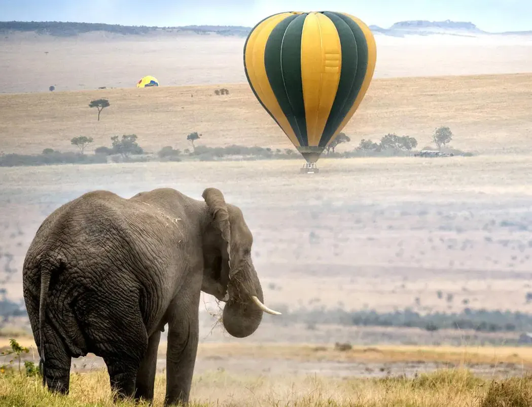 4-Day Serengeti Balloon and Wildlife Safari