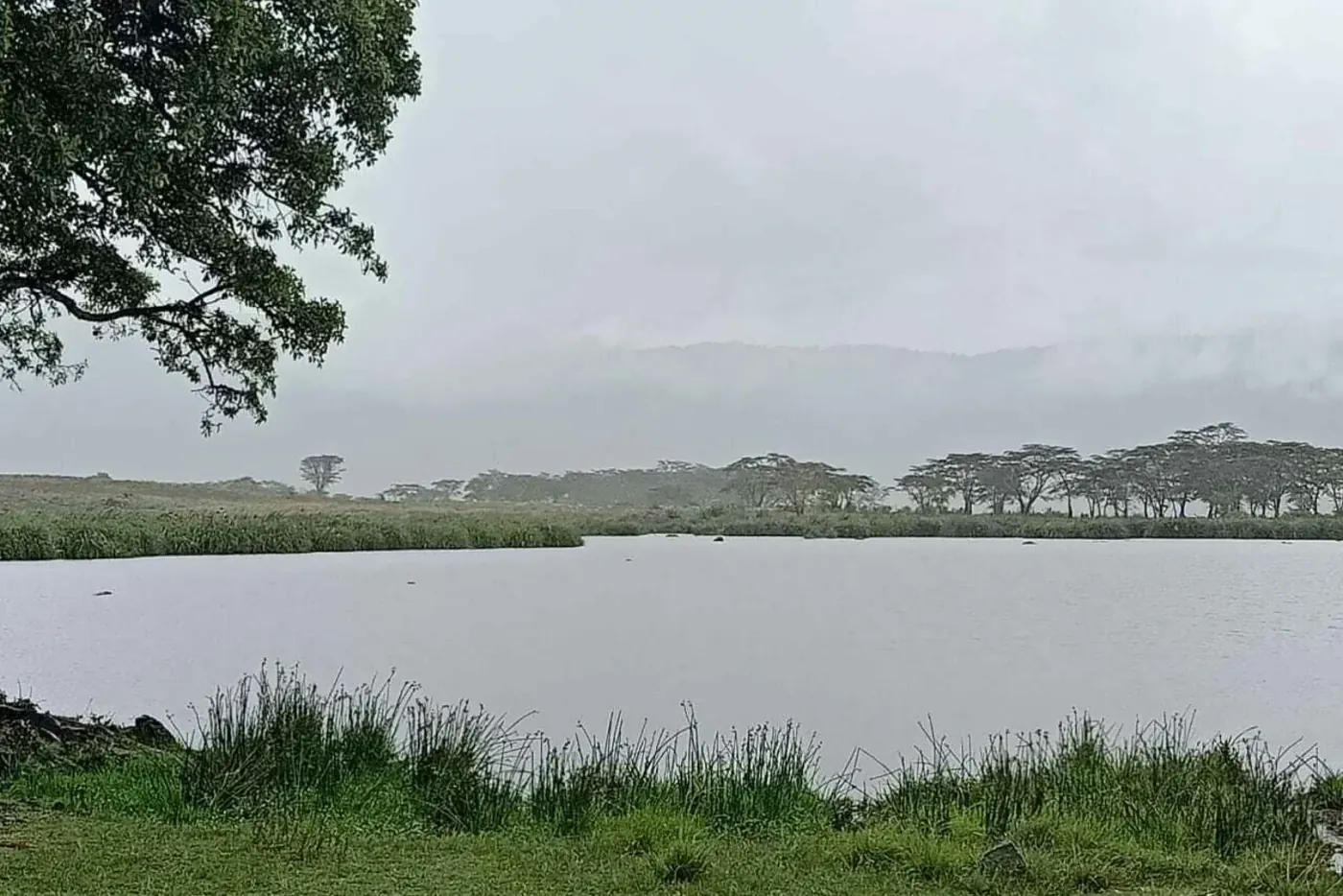 Lake Manyara National Park Guide